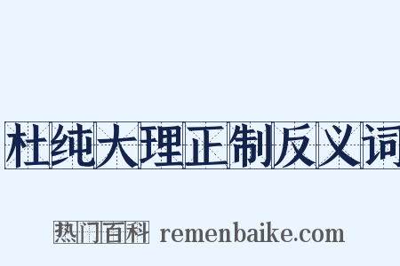 杜纯大理正制反义词是什么意思的图片